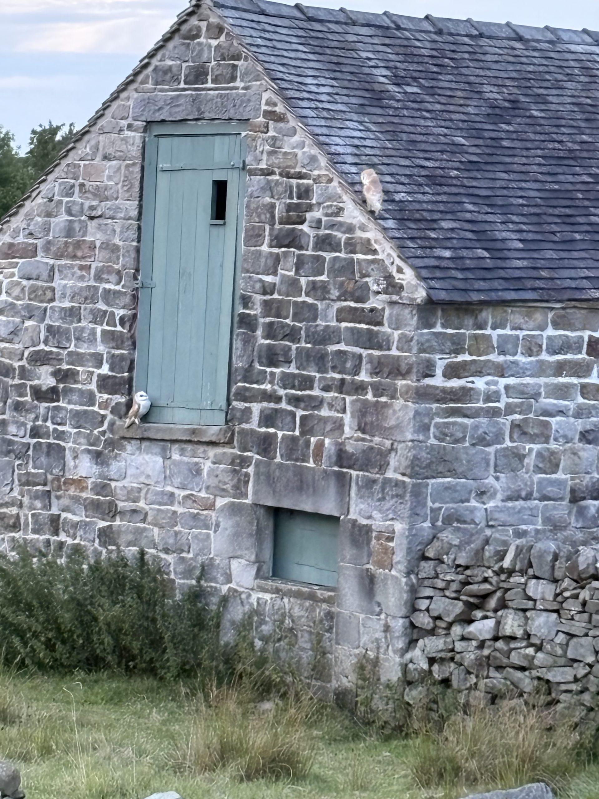 Nature-Friendly Farming at Bernard’s Farm